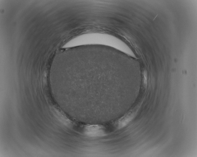 X0000081310269200701251750