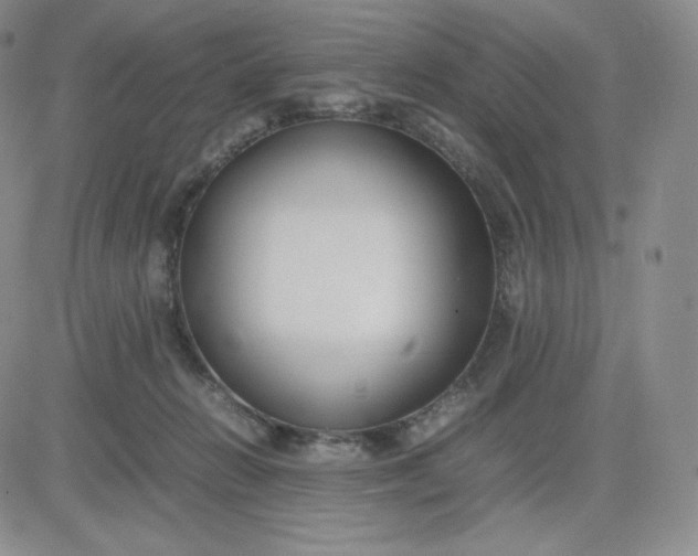 X0000081310270200701251750