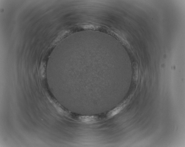 X0000081310273200701251750