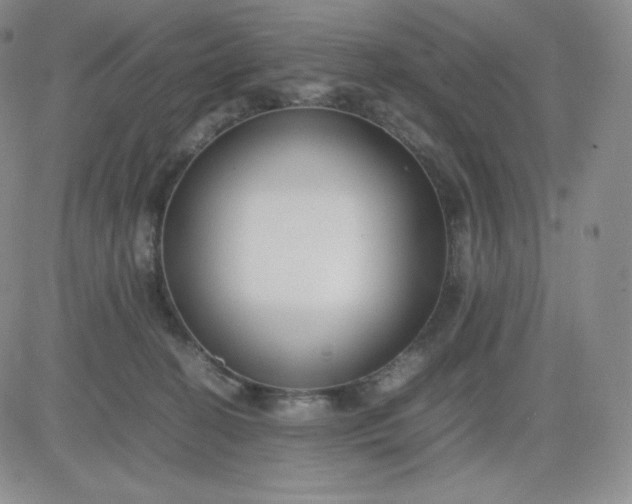 X0000081310274200701251750