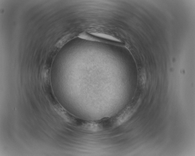 X0000081310276200701251750