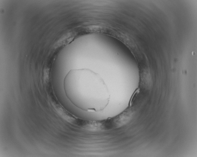 X0000081310278200701251750