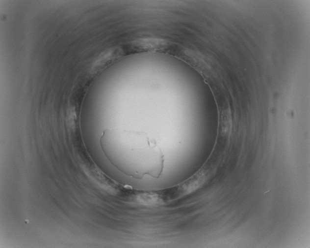 X0000081310279200701251750