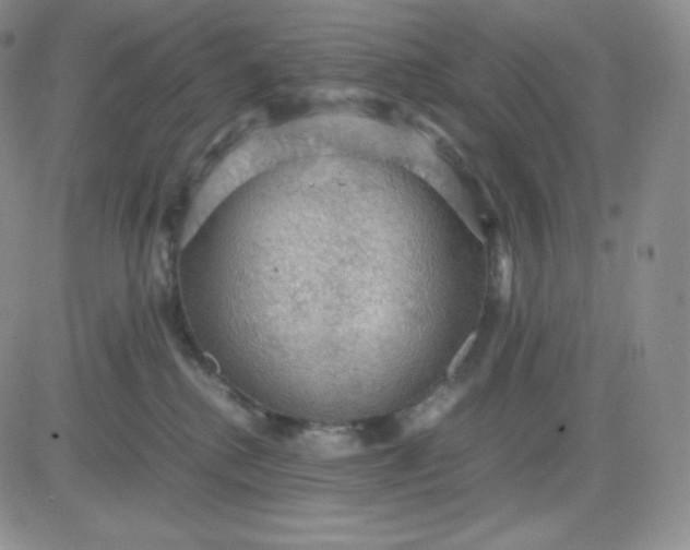 X0000081310280200701251750