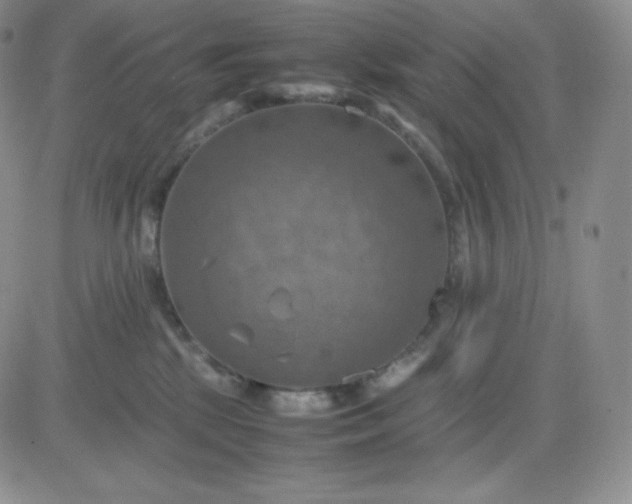 X0000081310281200701251750