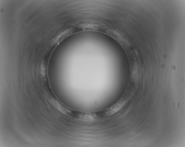 X0000081310282200701251750