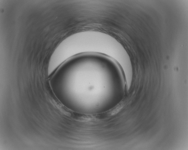 X0000081310284200701251750