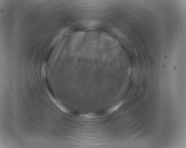 X0000081310286200701251750