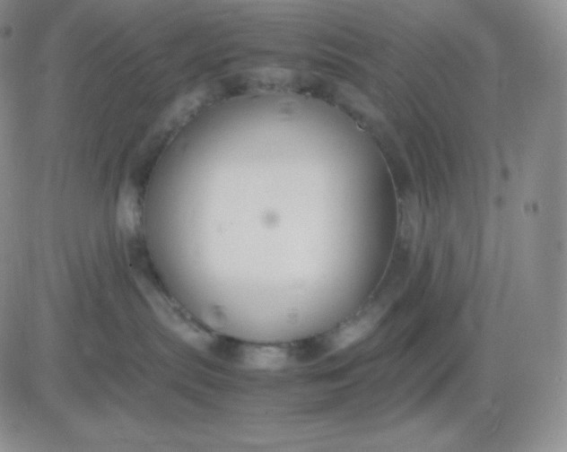 X0000081310287200701251750