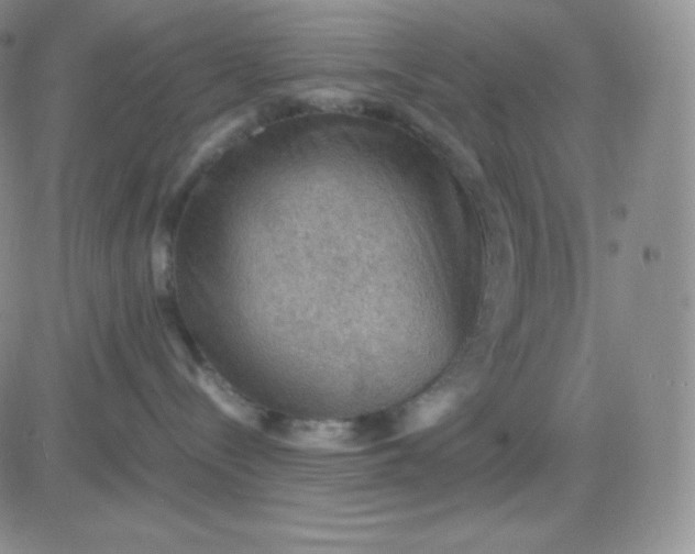 X0000081310288200701251750