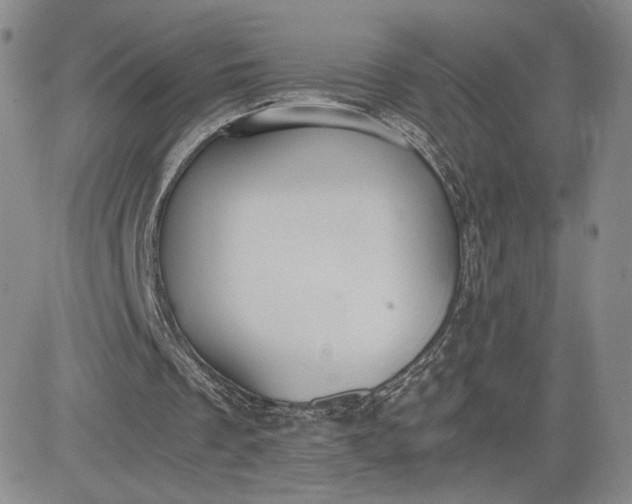 X0000081310289200701251750