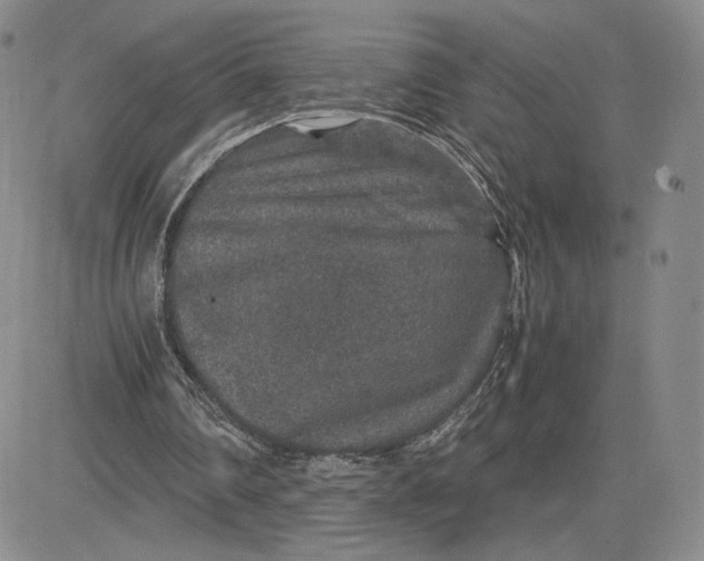 X0000081310290200701251750