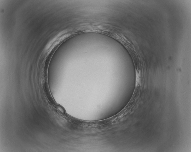 X0000081310291200701251750