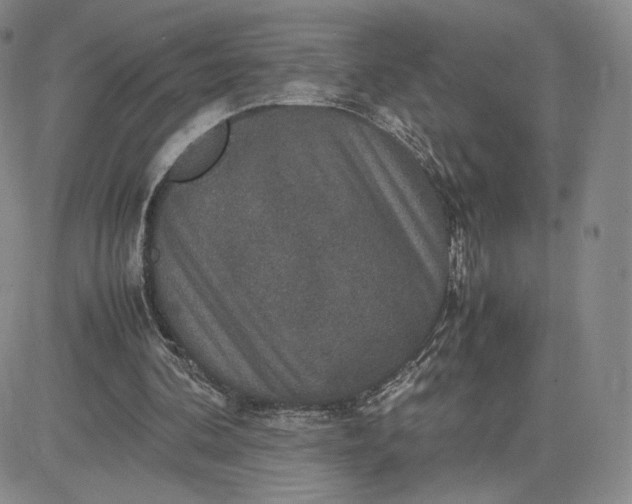 X0000081310292200701251750