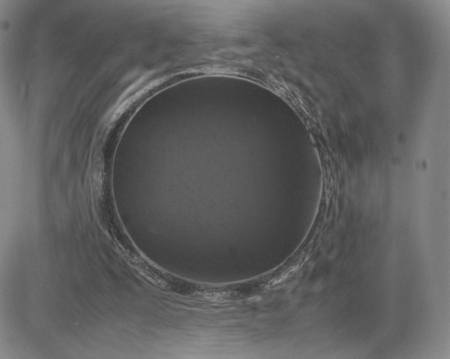 X0000081310295200701251750