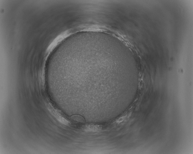 X0000081310296200701251750