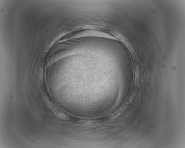 X0000081310297200701251750