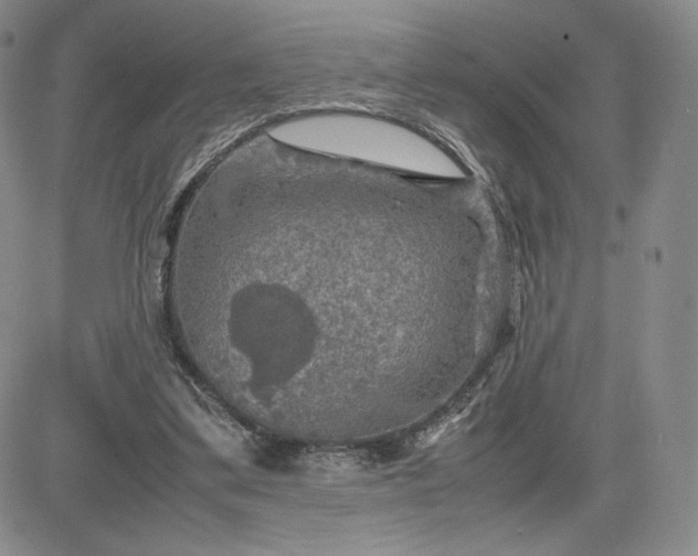 X0000081310299200701251750