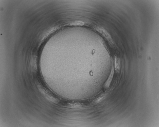 X0000081310300200701251750