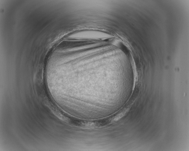 X0000081310301200701251750