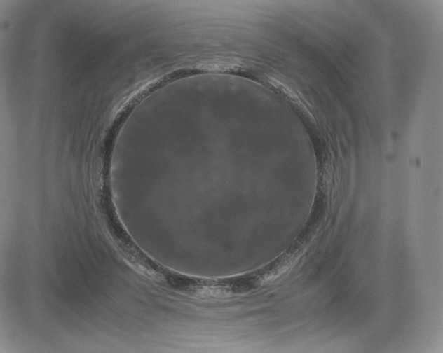 X0000081310303200701251749