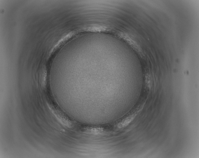 X0000081310304200701251749