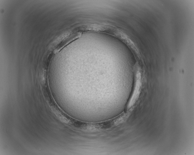 X0000081310305200701251749