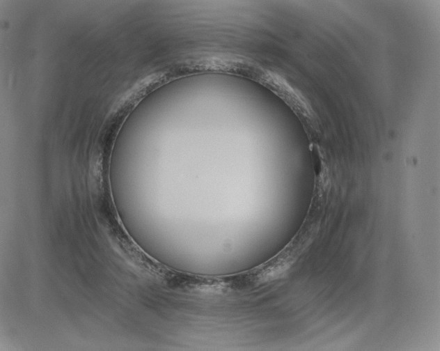 X0000081310306200701251749