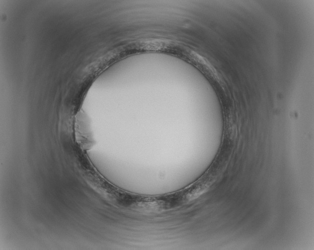 X0000081310307200701251749