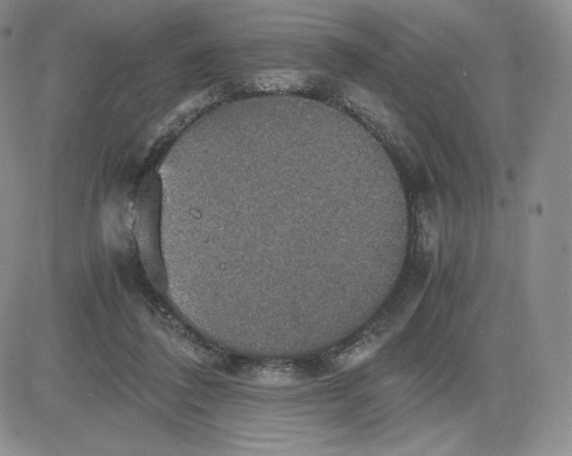 X0000081310308200701251749