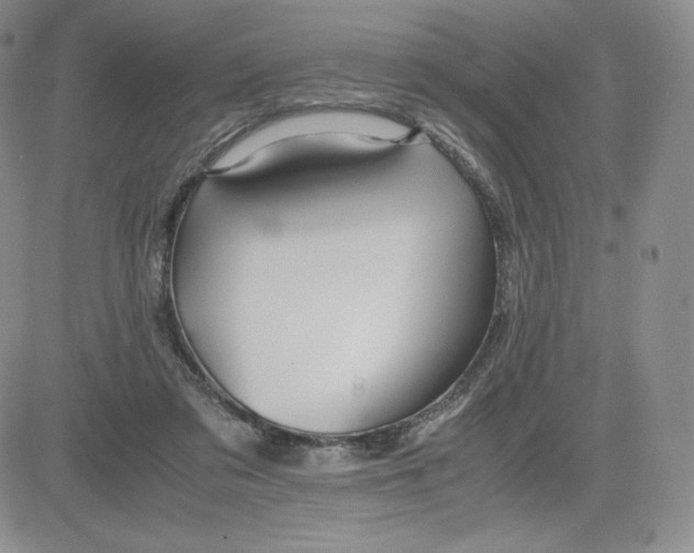 X0000081310309200701251749