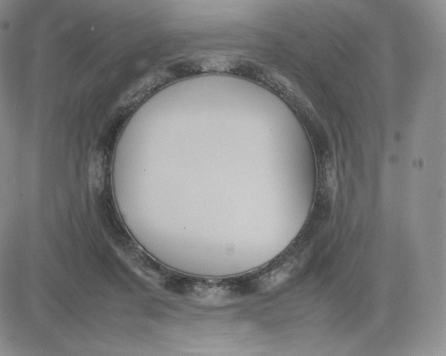 X0000081310311200701251749