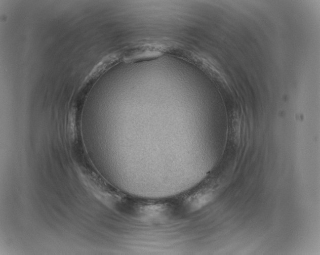 X0000081310312200701251749