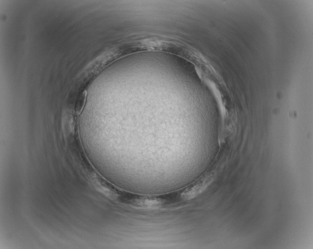 X0000081310313200701251749