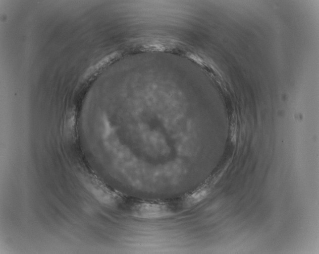 X0000081310314200701251749