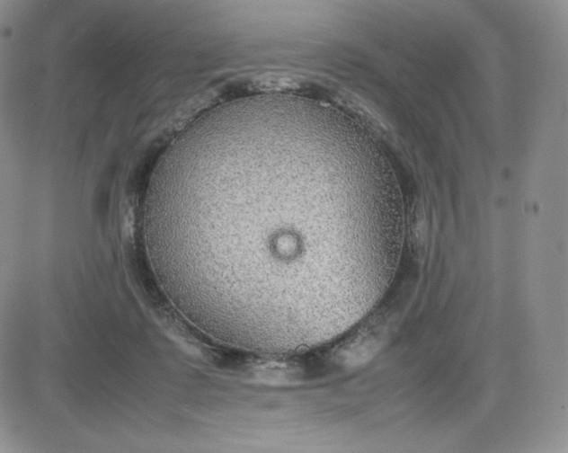 X0000081310315200701251749