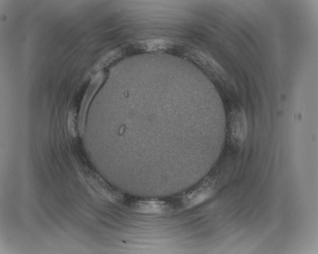 X0000081310316200701251749