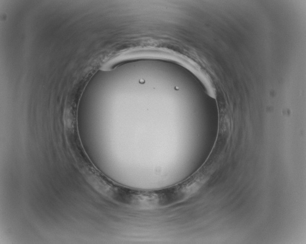 X0000081310317200701251749