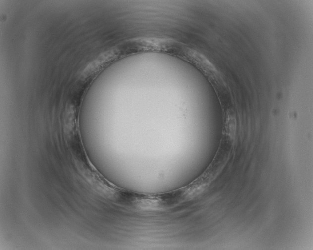 X0000081310318200701251749