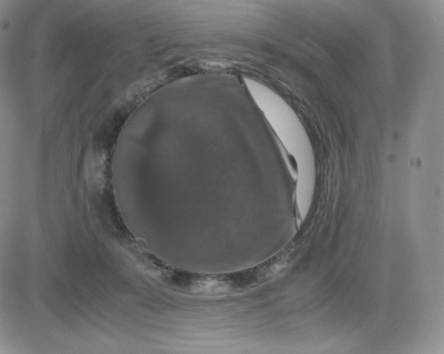 X0000081310319200701251749