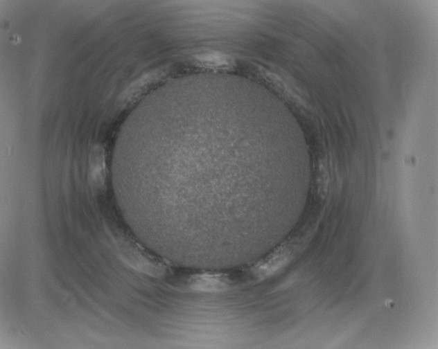 X0000081310320200701251749