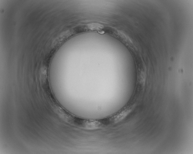 X0000081310321200701251749