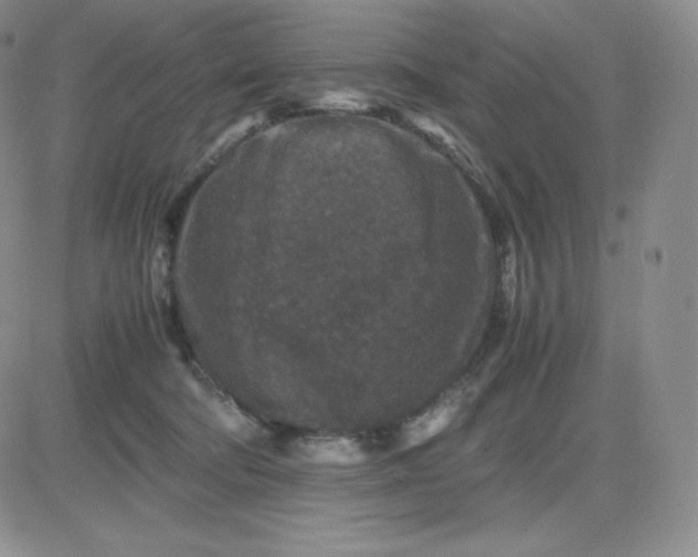 X0000081310322200701251749