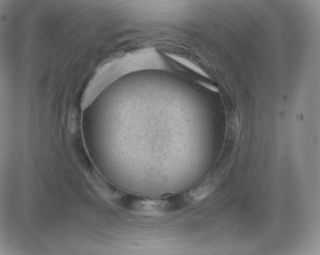 X0000081310323200701251749