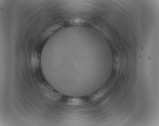 X0000081310324200701251749