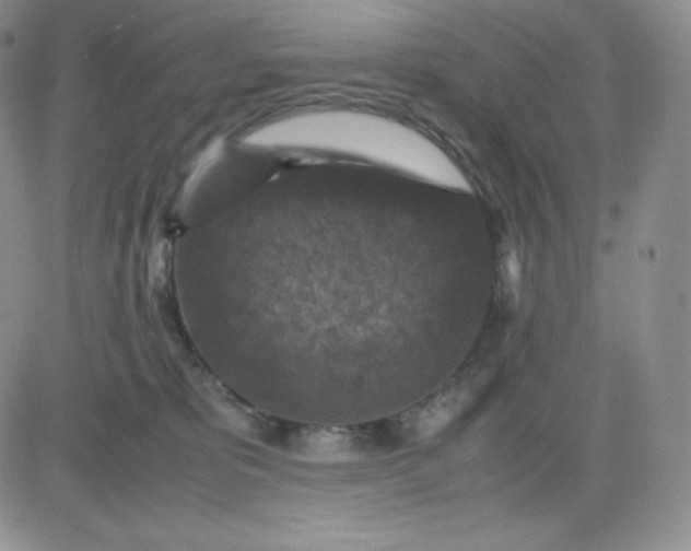 X0000081310325200701251749