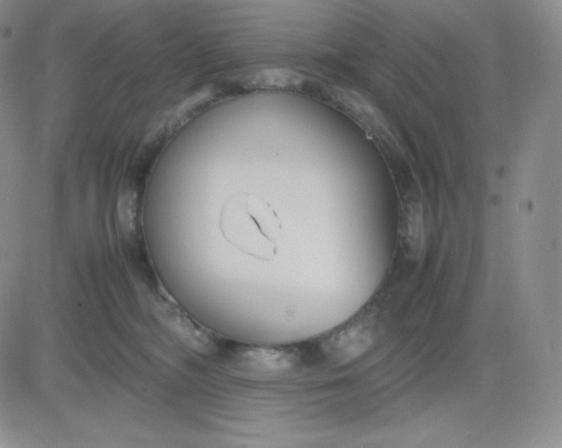 X0000081310326200701251749