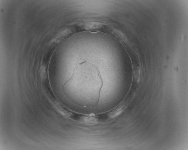 X0000081310327200701251749