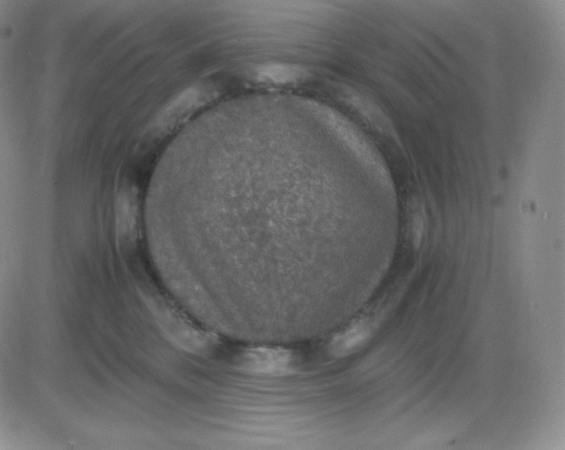 X0000081310328200701251749