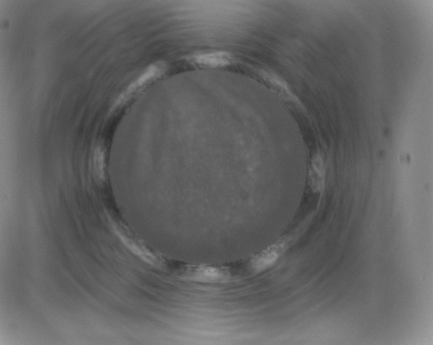 X0000081310330200701251749